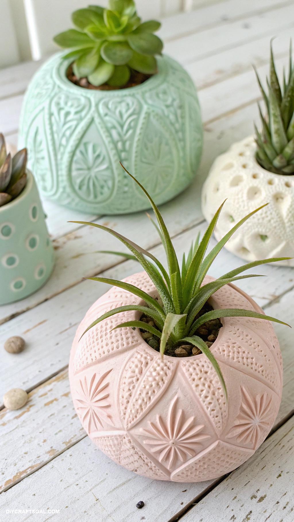 air dry clay projects Decorative air plant holders
